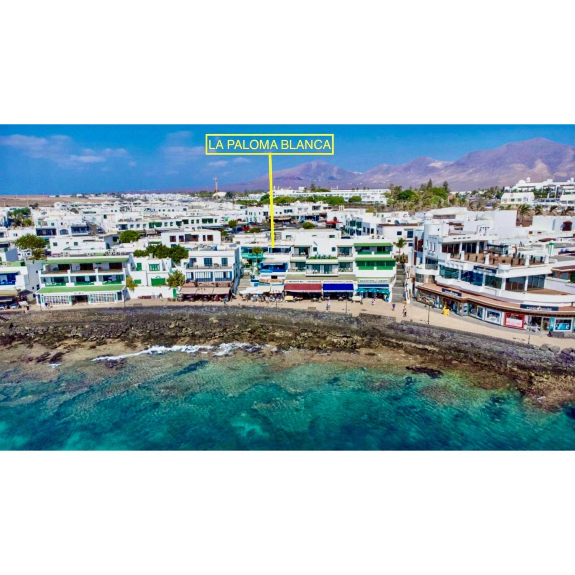 Apartmán La Paloma Blanca The White Dove Playa Blanca  Exteriér fotografie